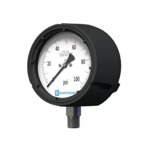 BDT21 – säkerhetsprocessmanometer